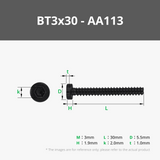 BT3 Socket Head Cap Self Tapping Screws (SHCS)